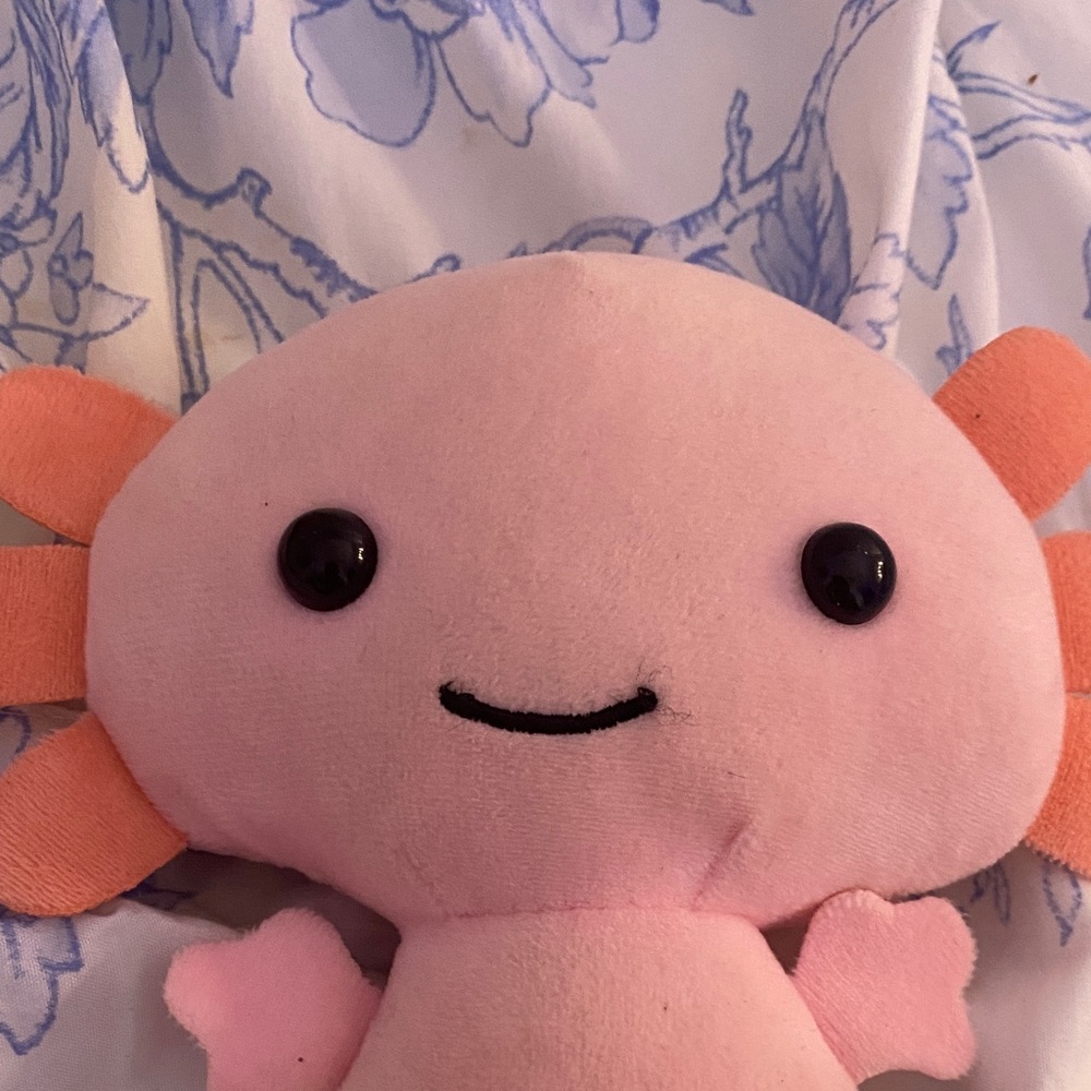 Adorable Pink Plush Axolotl - Picture 3 of 5
